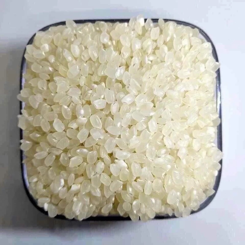 Gạo Séng Cù